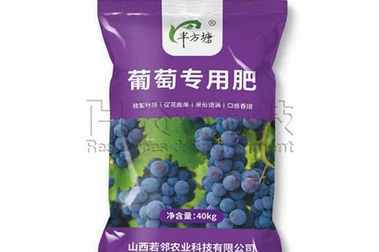 葡萄膨果期用什么肥料