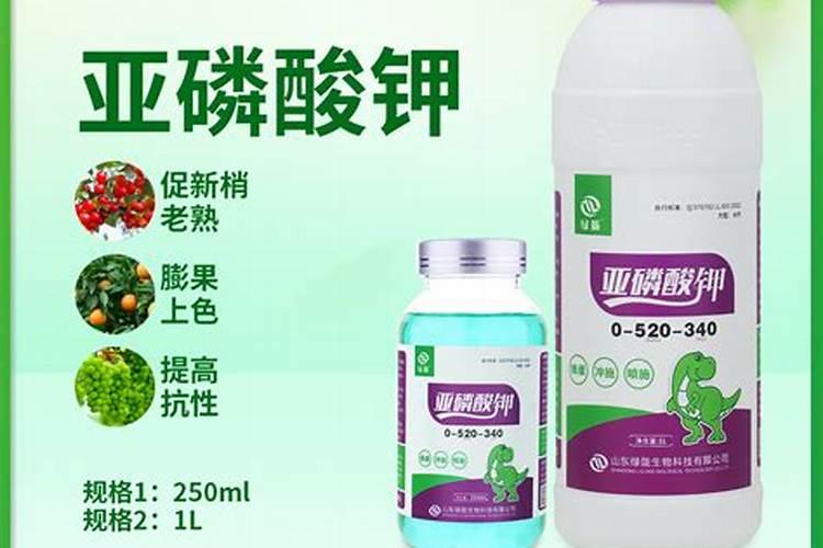 叶面肥喷多烧叶片有补救措施吗？