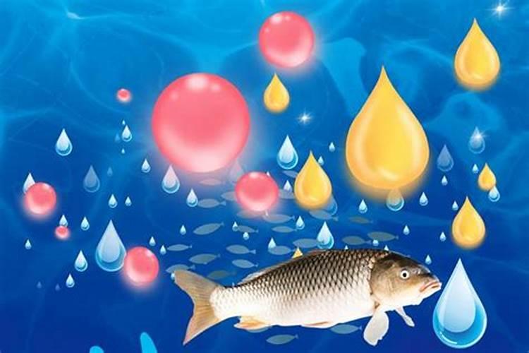 阳台藤三七上什么肥好,三七用什么肥料长得快