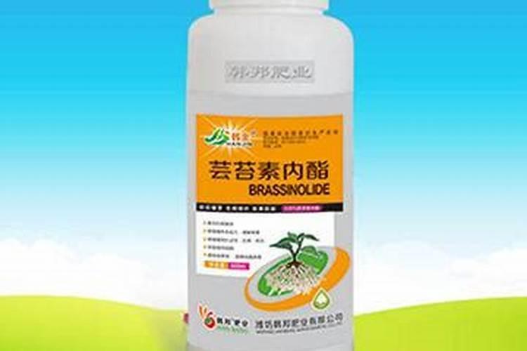 丙酰芸苔素和芸苔素的区别