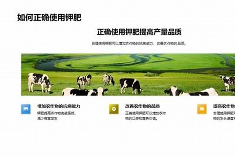 钾肥选择什么样的才能让植物长的更好？