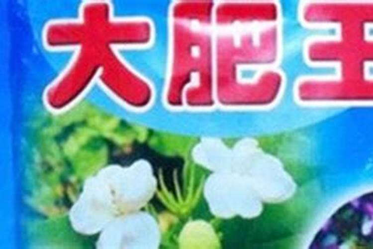 大肥王是什么肥料