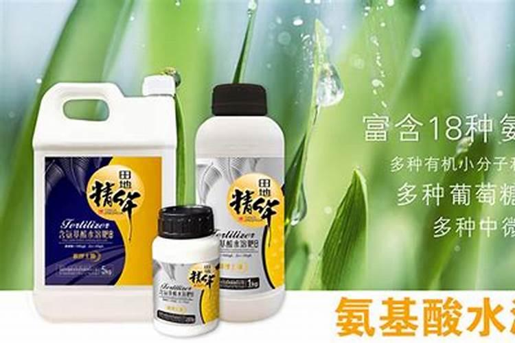 哈密瓜种植时间和方法(哈密瓜的种植时间)