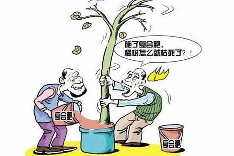 钾肥的作用 钾肥简介