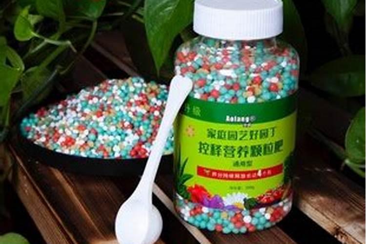 嘉宝果树修枝后可以喷农药吗