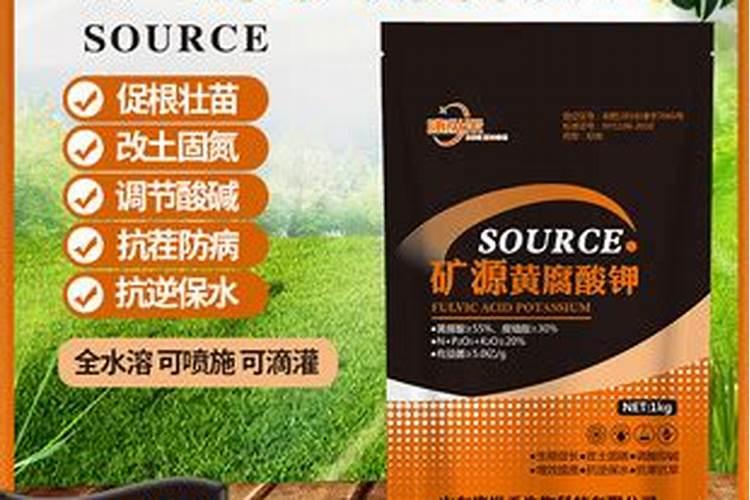 大白菜什么时候播种最合适