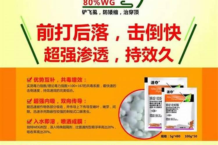 我家是玉米地要种麦子上什么样的肥料好？