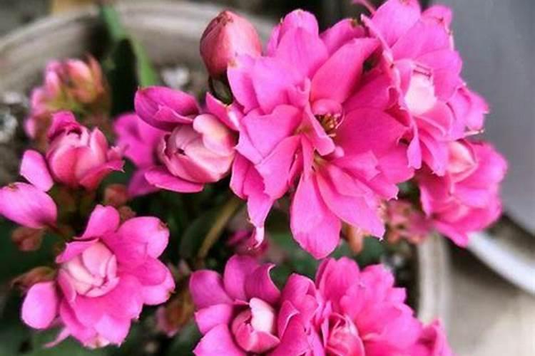 很多人不知道:蔬菜这几种农药残留最多