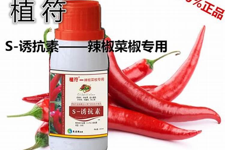 蓝莓的施肥时间蓝莓怎么施肥能高产