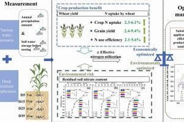种谷子用什么复合肥好 施肥注意事项有哪些