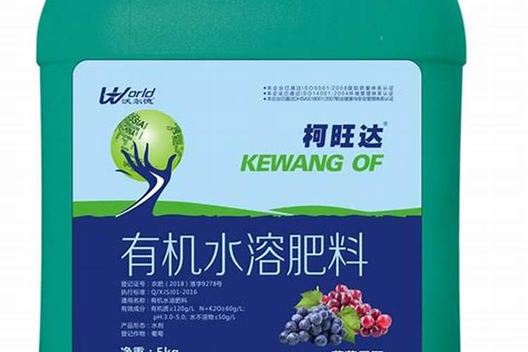 无土种的小麦苗生长几天营养成份最高,很嫩阶段根须也白没有发霉用料理...