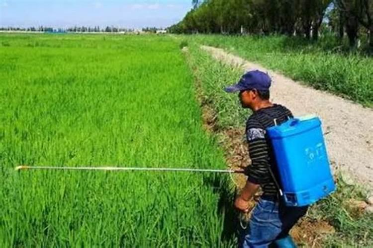 大豆打完除草剂多久可以打叶面肥水？