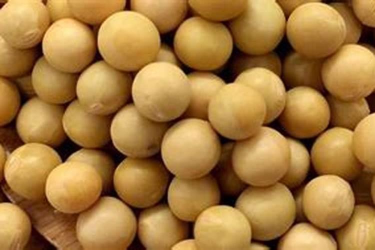 大豆需肥规律 如何追肥 怎么施肥