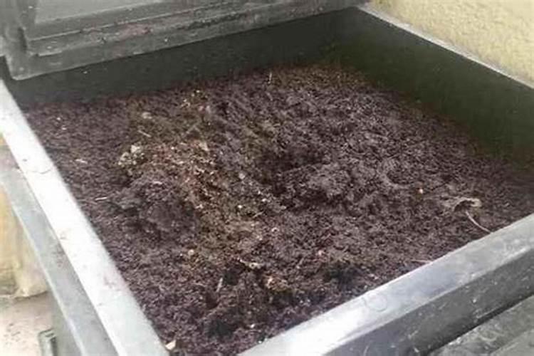 坏掉的水果可以埋进土里当肥料么