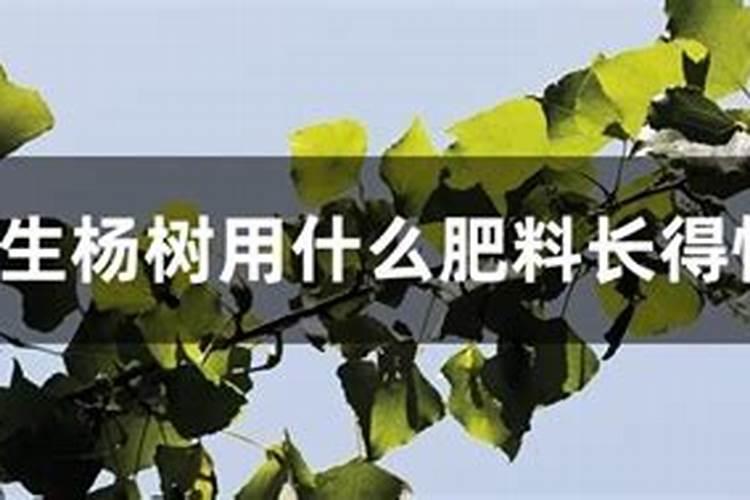 农药爱苗成份是什么