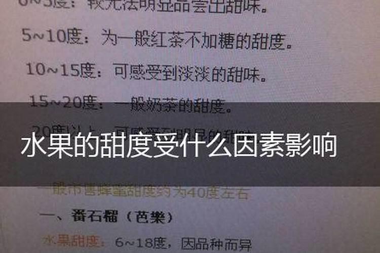 多肉黑法师怎么施肥,4个步骤教你施出美丽的黑法师