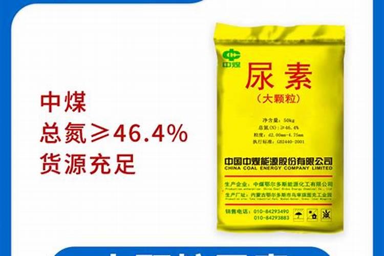 多肉植物浇水,可以浇到叶片上吗
