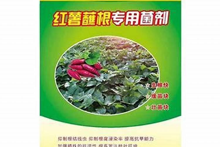 葡萄树怎么施肥