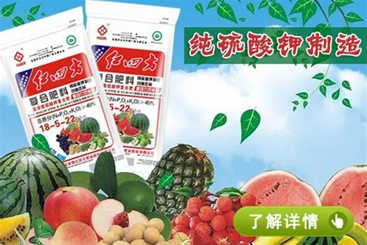 第一年葡萄小苗施什么肥(刚种葡萄苗用什么肥料长得快)