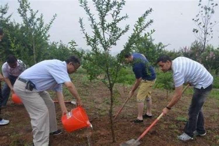 工业硫酸钾应用农业