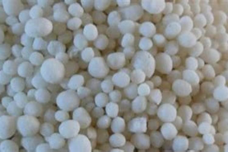 西红柿转色期管理技术 西红柿养殖需要注意什么