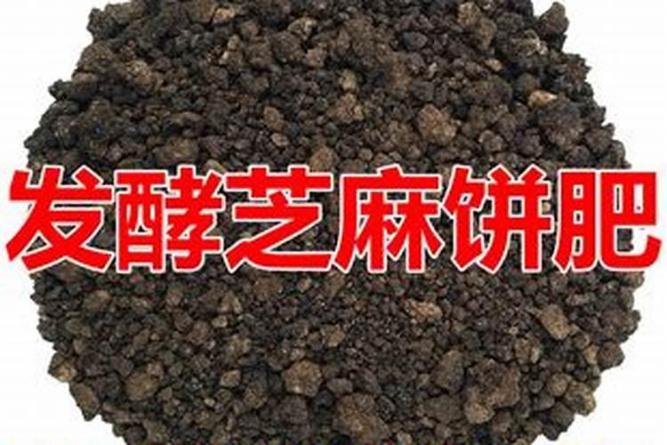 葡萄苗6月中旬移栽可以成活吗？