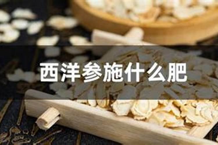 西洋参茎斑怎么防治,斑点黄叶病