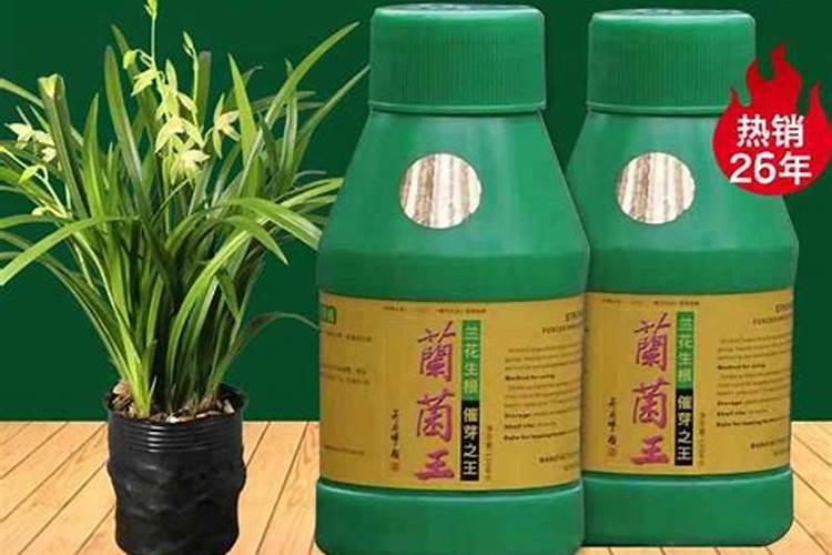 杀扑磷杀什么虫和用途,杀扑磷不能和什么农药混用