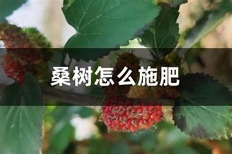 土豆膨大用哪种钾肥好