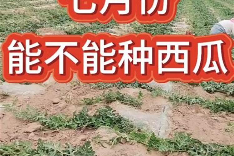 氯化铵可以做肥料吗