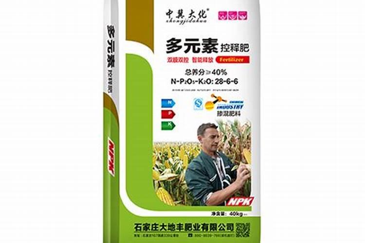 在大棚里种花和种菜哪个效益更好