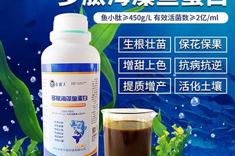 胡萝卜苗期用什么叶面肥