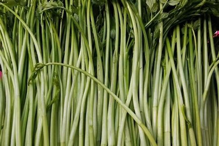 长西瓜的是什么肥料