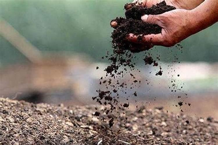 春耕化肥是什么意思？