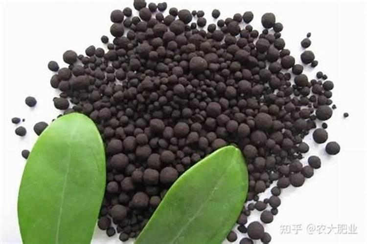 种花用什么肥料比较好