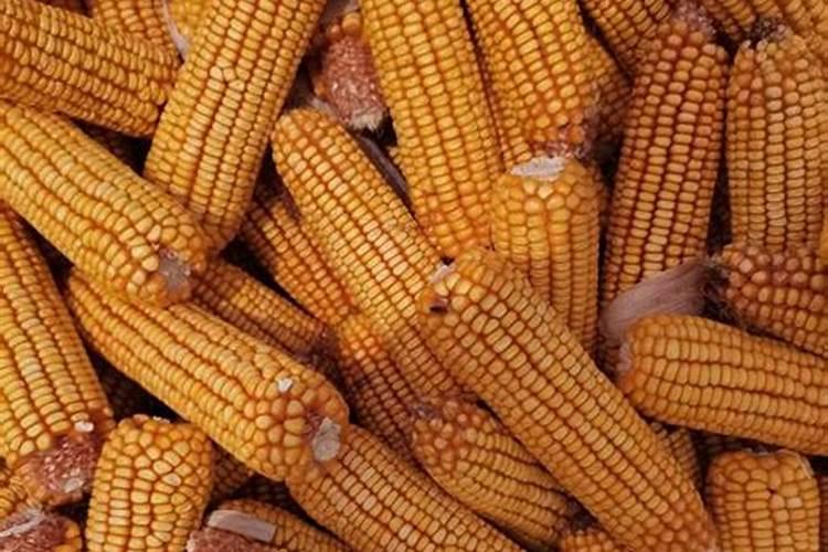 硼酸在不同方面展现的十大用途有哪些