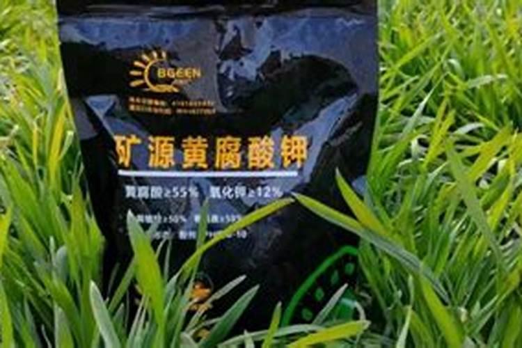 磷肥的作用是什么