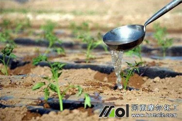 碧护大量元素水溶肥价格