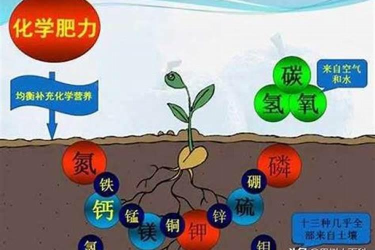 化肥中的氮磷钾分别起什么作用？
