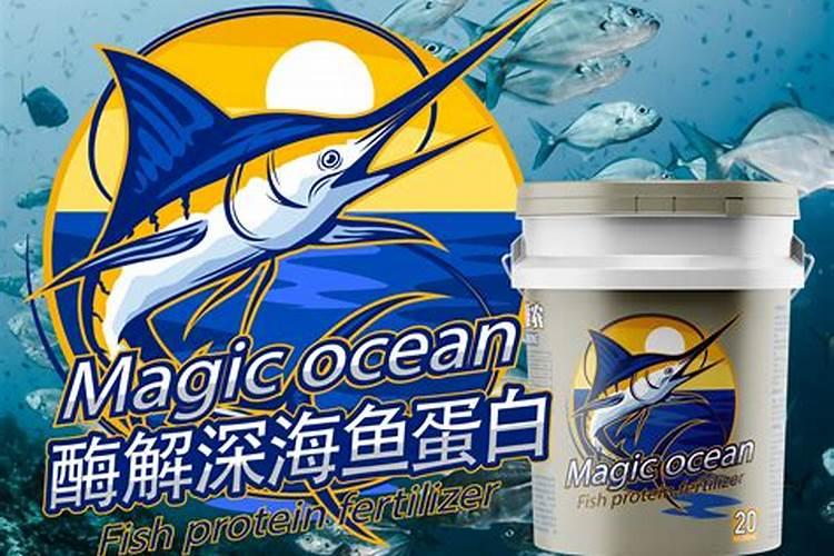 鱼蛋白的做法都有什么呢？