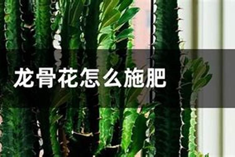 氯化钾上大棚行不？