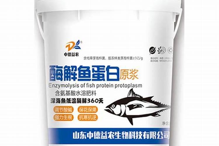 鱼蛋白怎么制作过程