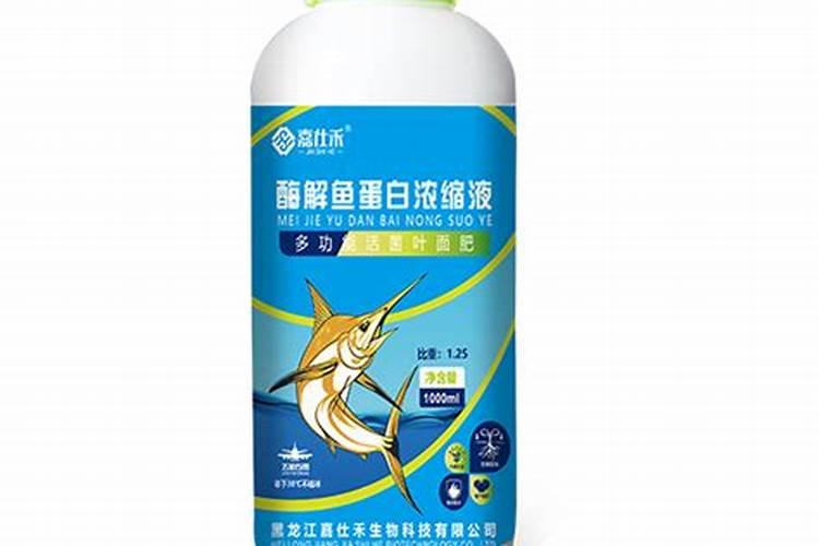 鱼蛋白的制作方法