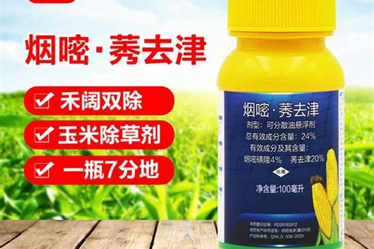 兰花什么时候施肥最好,兰花施肥用什么肥最好(氮磷钾肥)