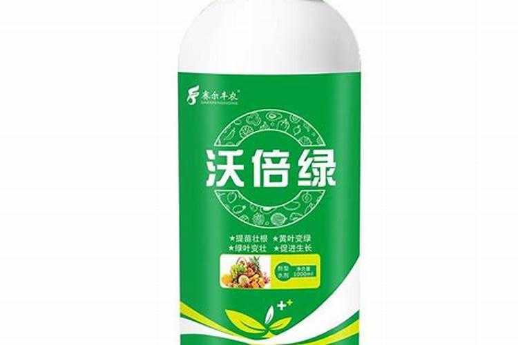 施倍多叶面肥可以喷辣椒吗？