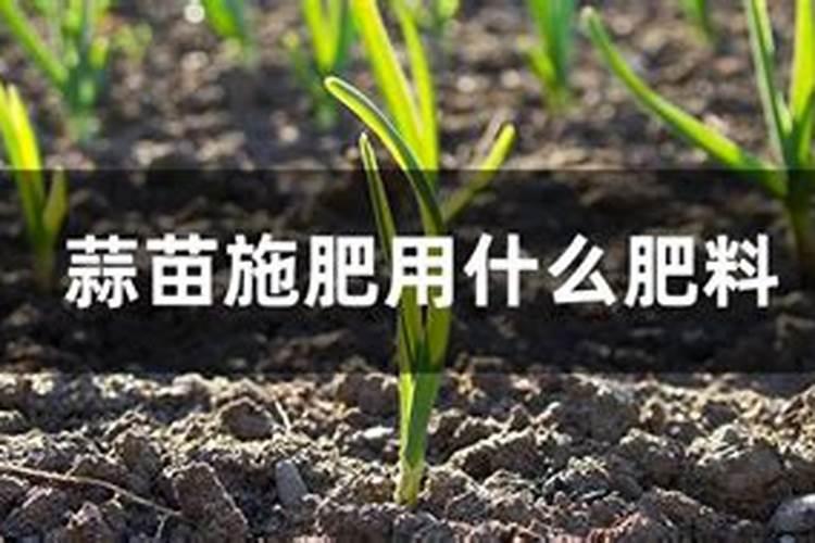 醋的主要成分具体包含些什么