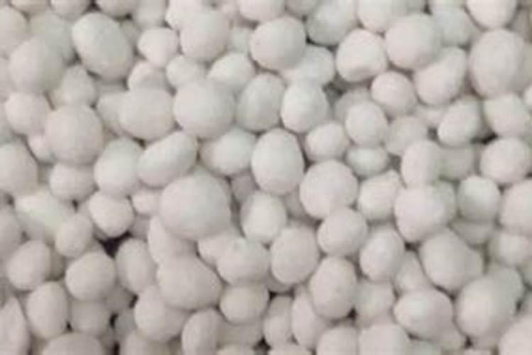 无花果怎么施肥长得快