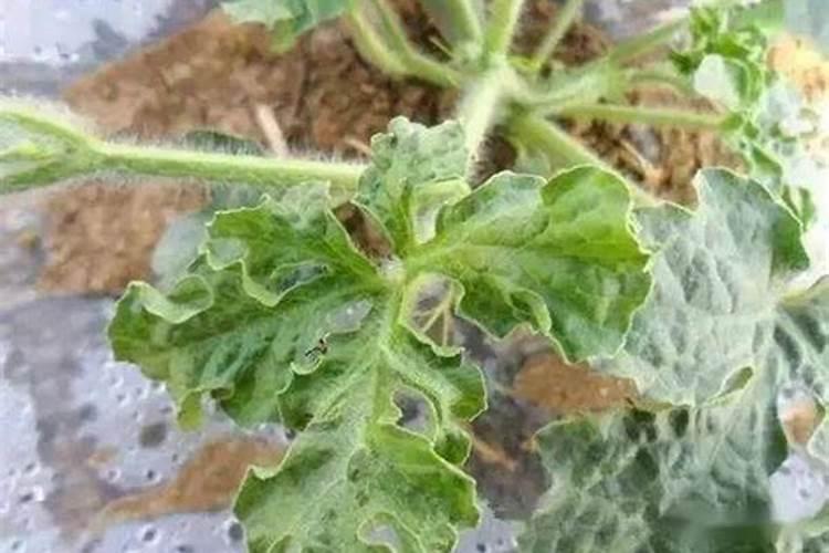 市场监管部门对违规保险机构会采取哪些惩戒措施？