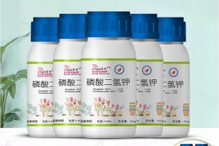 什么叶面肥可以叶片增厚;什么叶面肥可以生根