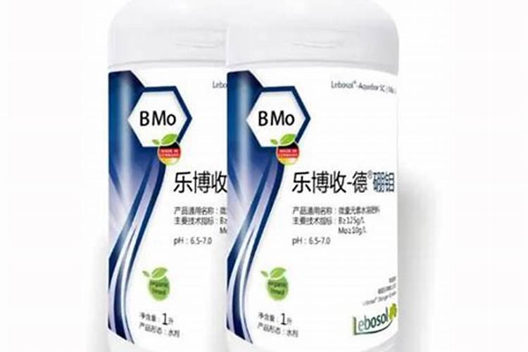 种大蒜需要什么肥料最好